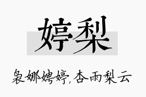 婷梨名字的寓意及含义