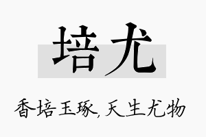 培尤名字的寓意及含义