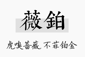 薇铂名字的寓意及含义