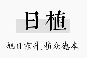 日植名字的寓意及含义