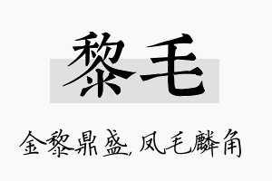 黎毛名字的寓意及含义