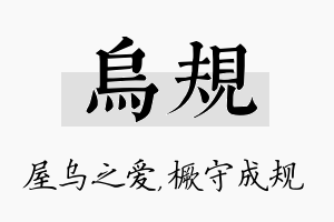 乌规名字的寓意及含义