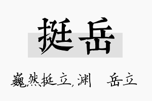 挺岳名字的寓意及含义