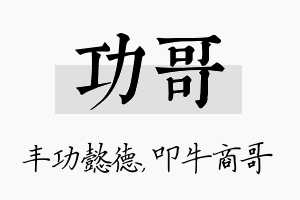 功哥名字的寓意及含义