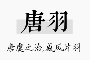 唐羽名字的寓意及含义