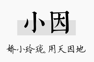 小因名字的寓意及含义