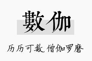 数伽名字的寓意及含义