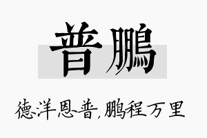 普鹏名字的寓意及含义