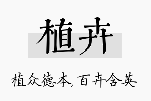 植卉名字的寓意及含义