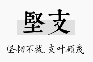 坚支名字的寓意及含义