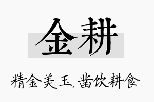 金耕名字的寓意及含义