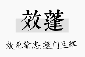 效蓬名字的寓意及含义