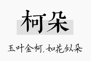 柯朵名字的寓意及含义