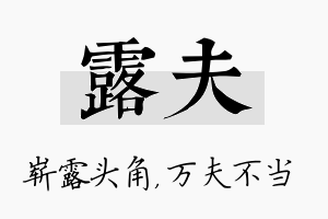 露夫名字的寓意及含义