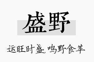 盛野名字的寓意及含义