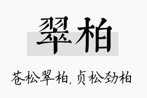 翠柏名字的寓意及含义