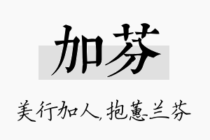 加芬名字的寓意及含义