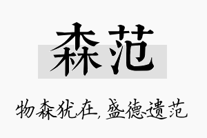 森范名字的寓意及含义