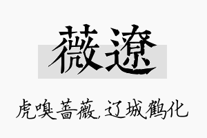 薇辽名字的寓意及含义