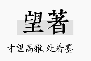 望着名字的寓意及含义