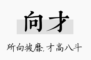 向才名字的寓意及含义