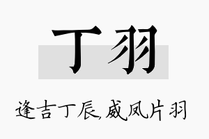 丁羽名字的寓意及含义