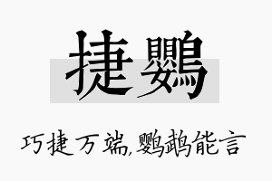 捷鹦名字的寓意及含义