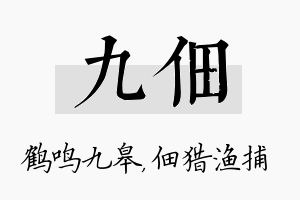 九佃名字的寓意及含义