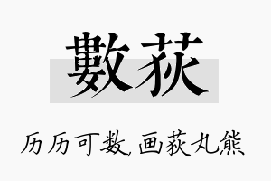 数荻名字的寓意及含义