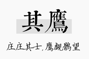 其鹰名字的寓意及含义