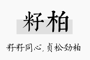 籽柏名字的寓意及含义