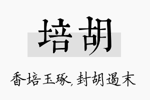 培胡名字的寓意及含义