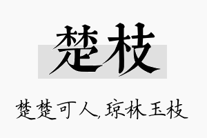 楚枝名字的寓意及含义