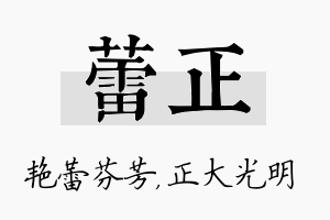 蕾正名字的寓意及含义