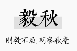 毅秋名字的寓意及含义