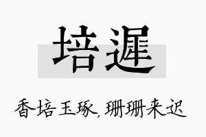 培迟名字的寓意及含义