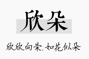 欣朵名字的寓意及含义