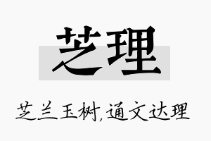 芝理名字的寓意及含义