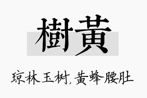 树黄名字的寓意及含义