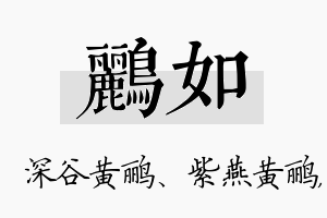 鹂如名字的寓意及含义