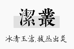 洁丛名字的寓意及含义