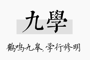 九学名字的寓意及含义