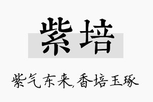 紫培名字的寓意及含义