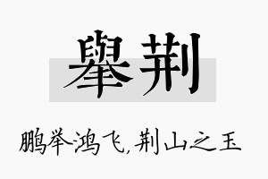 举荆名字的寓意及含义