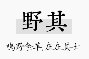 野其名字的寓意及含义