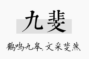 九斐名字的寓意及含义