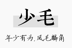 少毛名字的寓意及含义