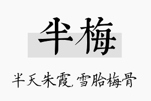 半梅名字的寓意及含义