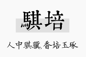 骐培名字的寓意及含义