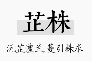 芷株名字的寓意及含义